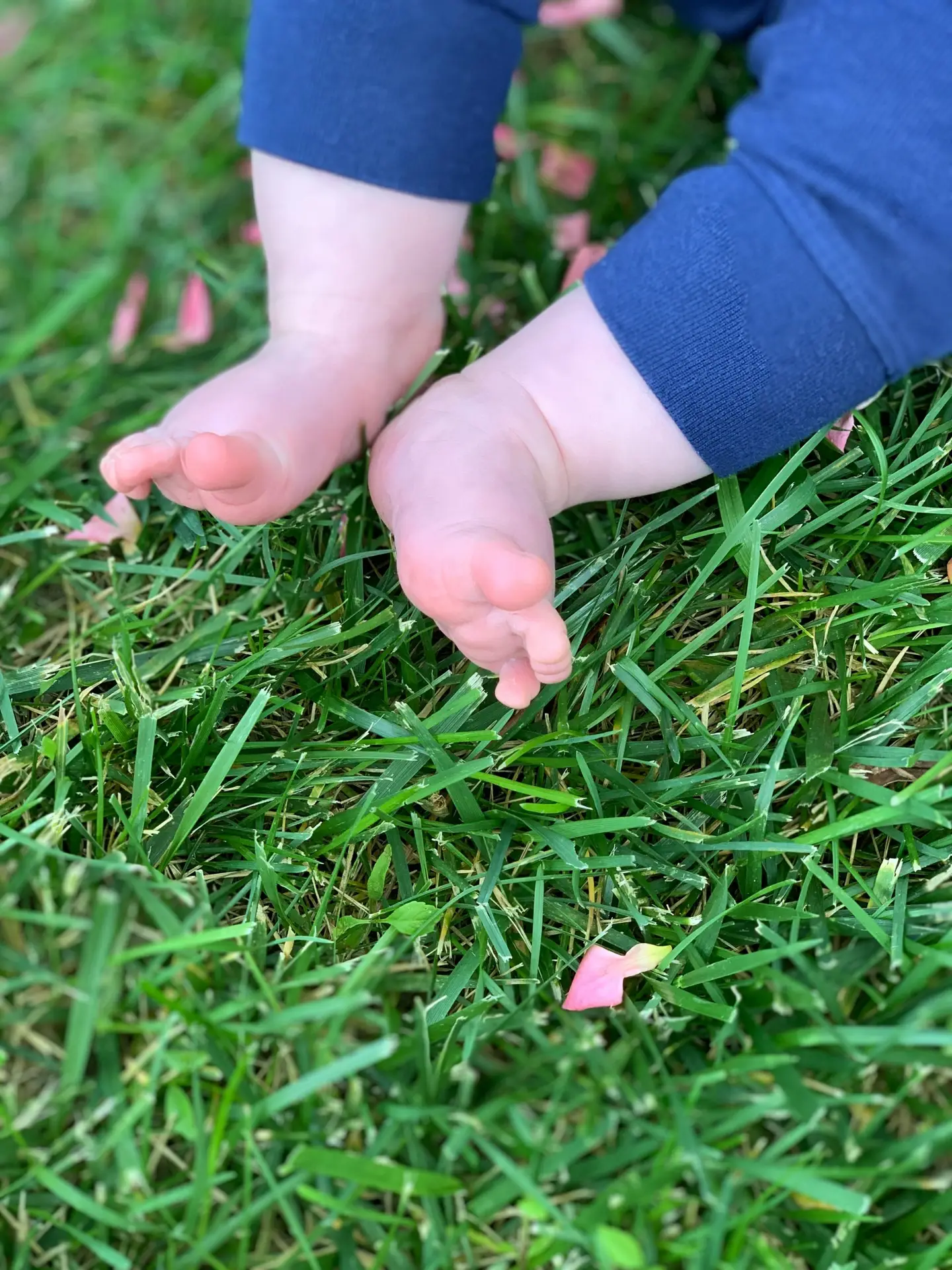 Baby feet in grass
