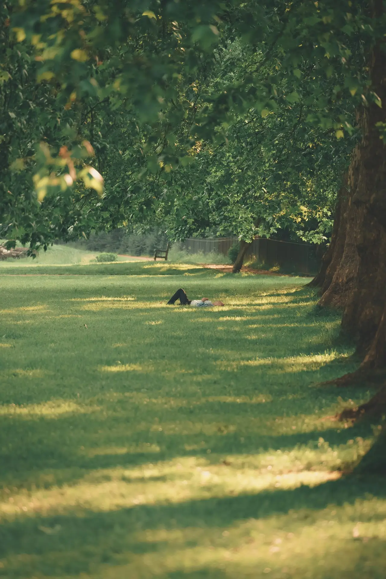 man laying in grass under tree