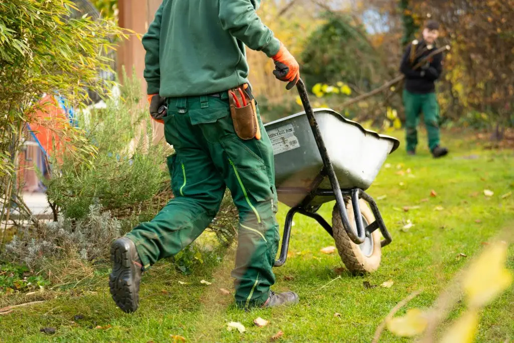 workers working in yard